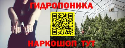 spice Долгопрудный