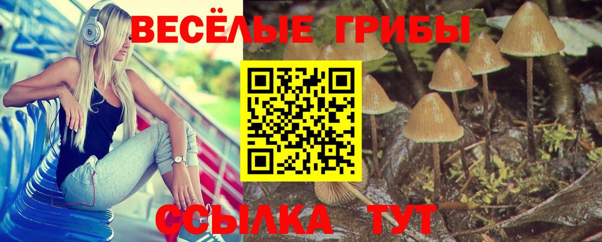 Псилоцибиновые грибы Cubensis Выкса