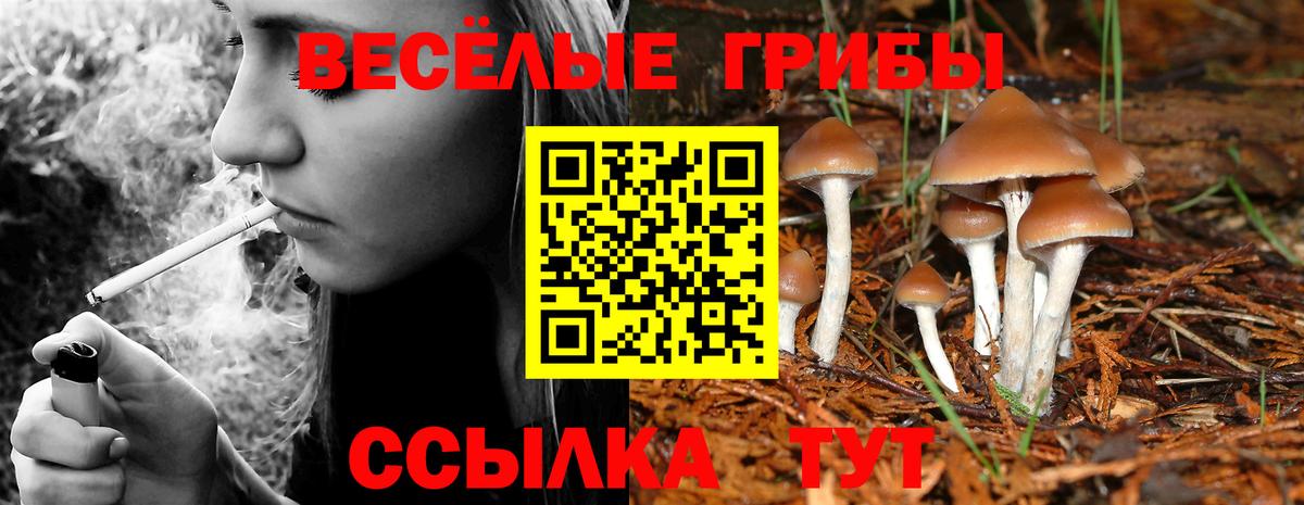 Выкса  наркота  Вход с VPN  Галлюциногенные грибы мицелий 